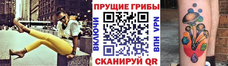 Купить где  Анжеро-Судженск  Галлюциногенные грибы Psilocybine cubensis 